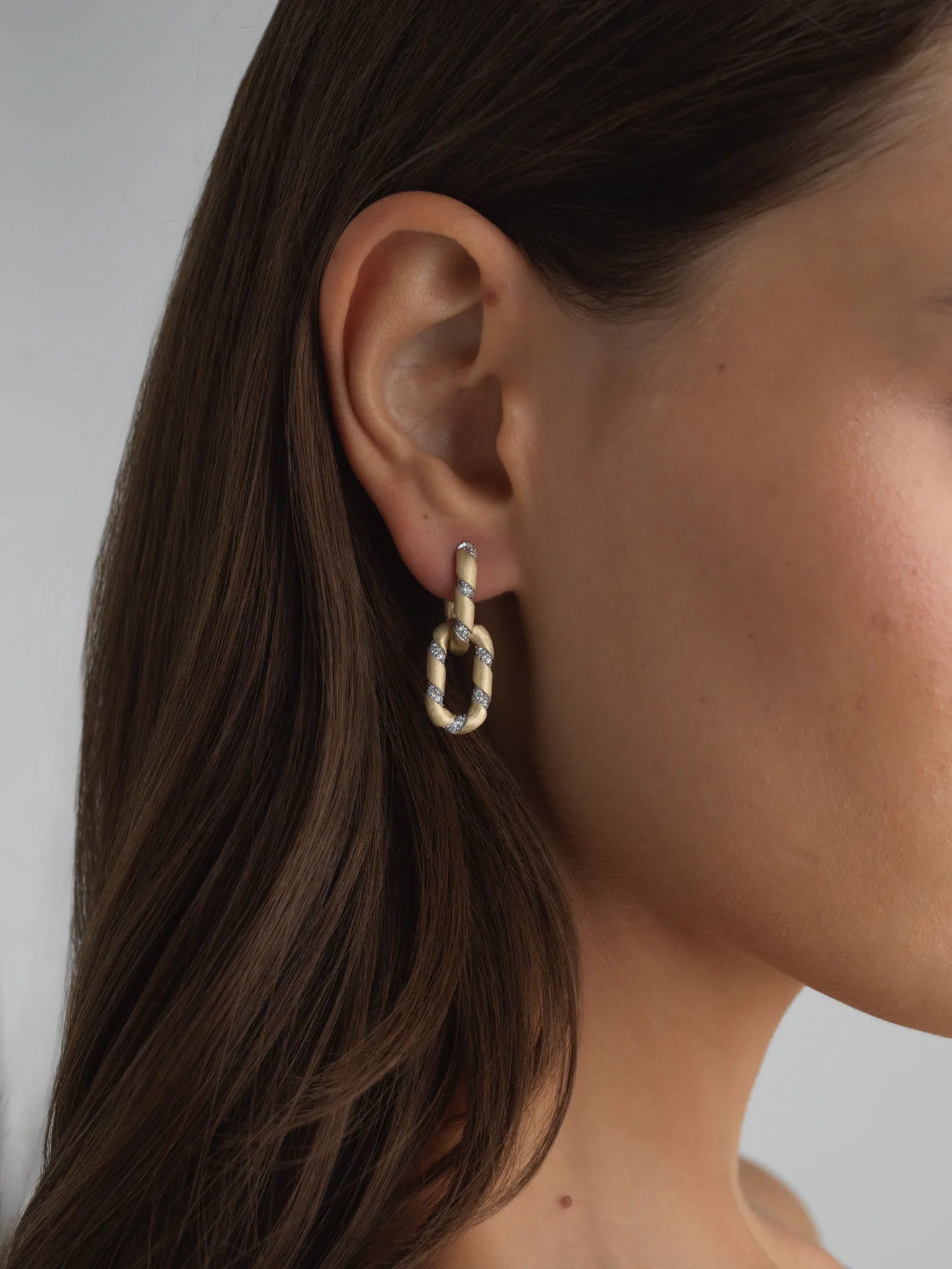 Double Link Earrings