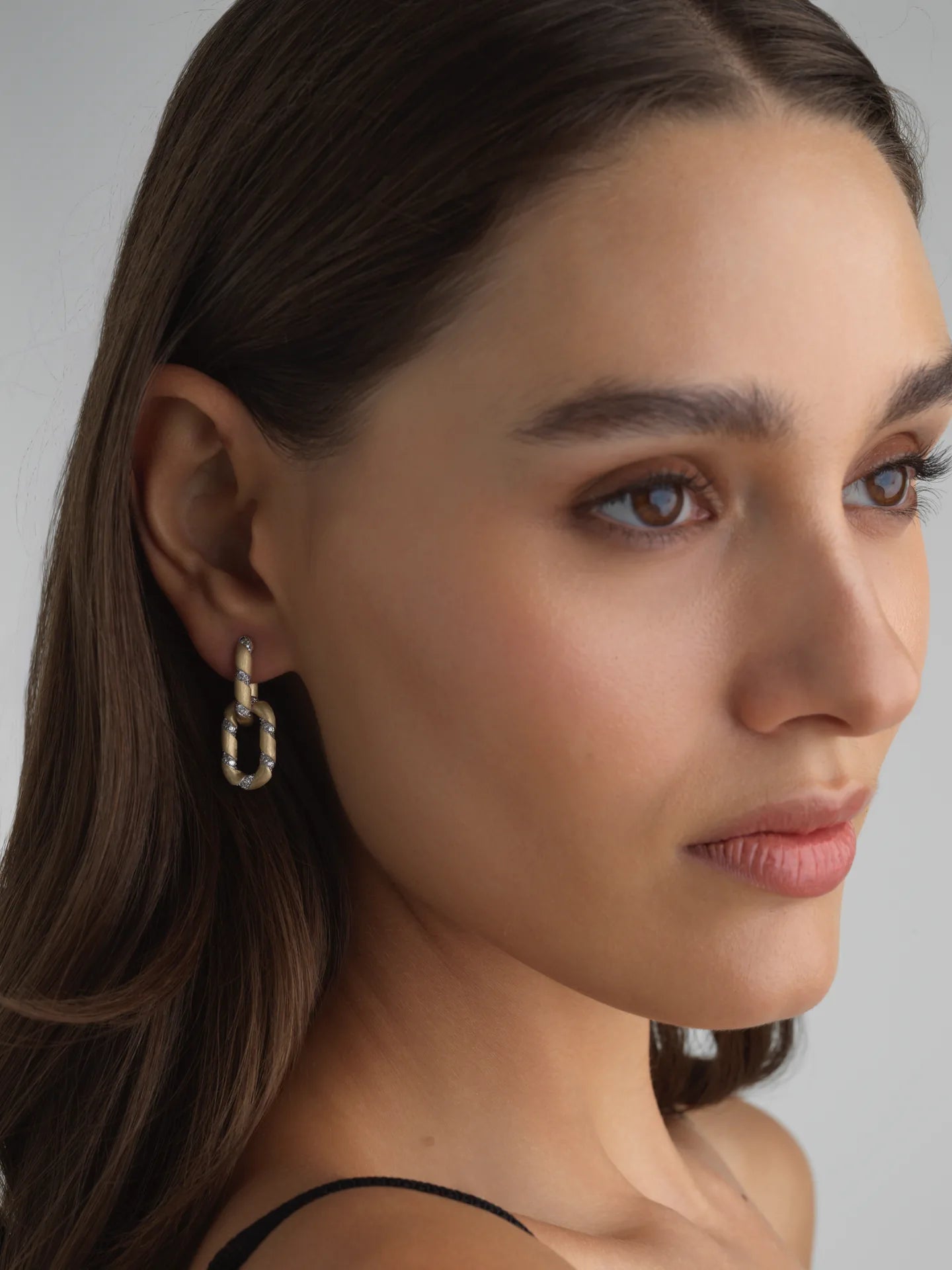 Double Link Earrings